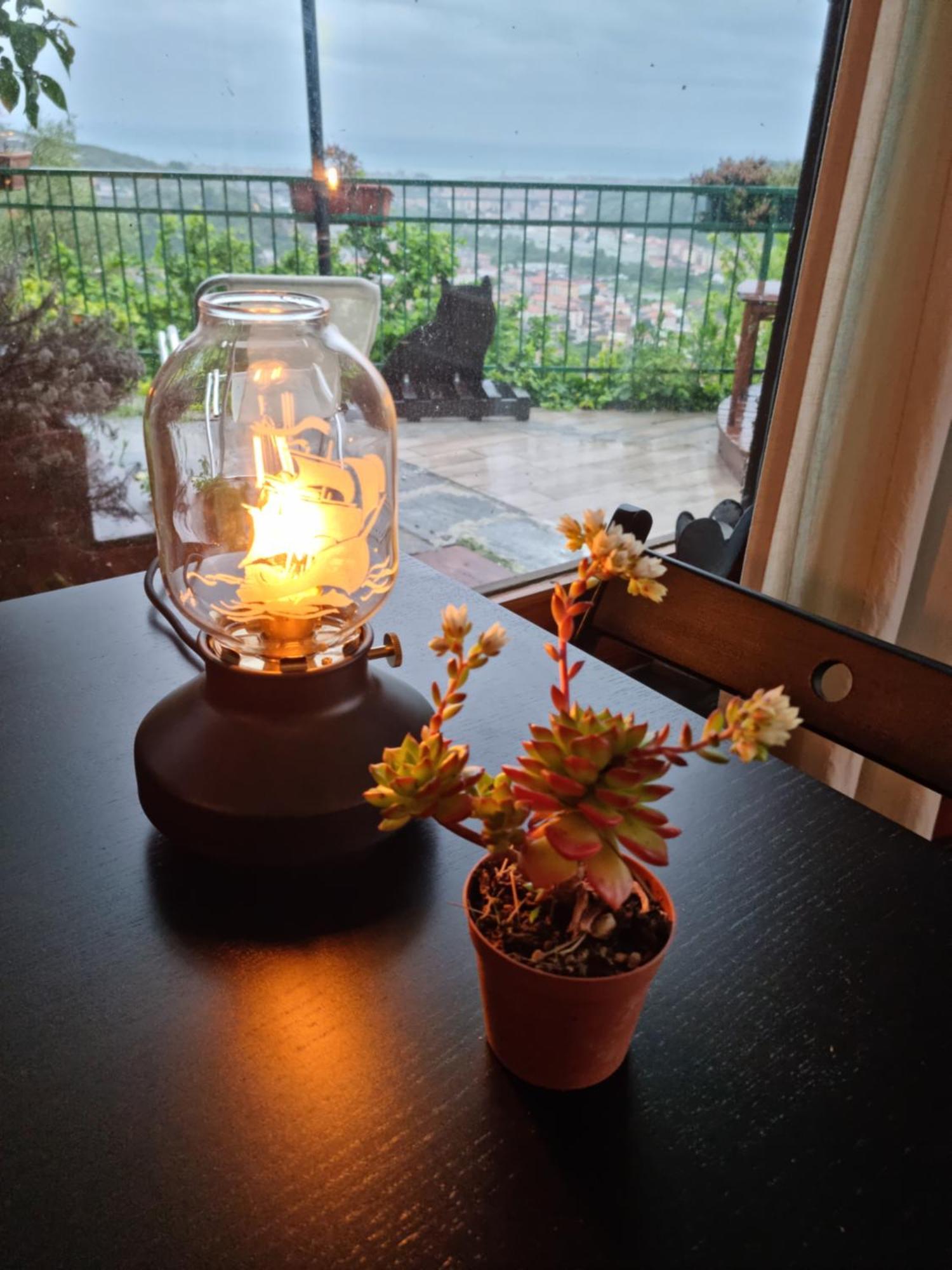 B&B La Terrazza Sui Fieschi Cogorno Exteriör bild