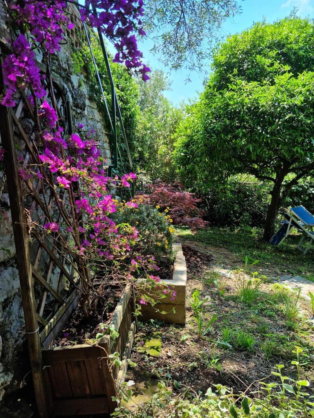 B&B La Terrazza Sui Fieschi Cogorno Rum bild